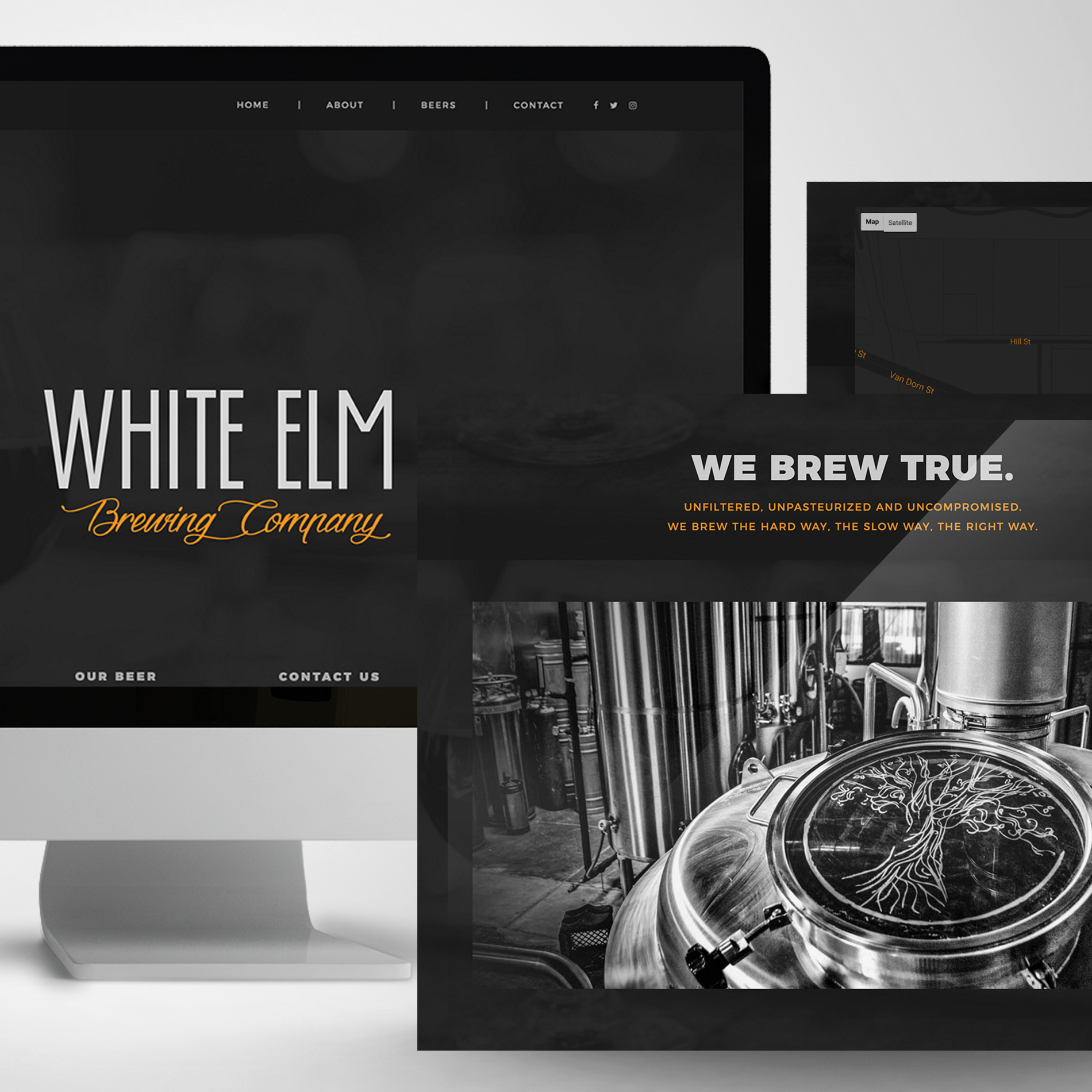 White Elm Project Thumbnail